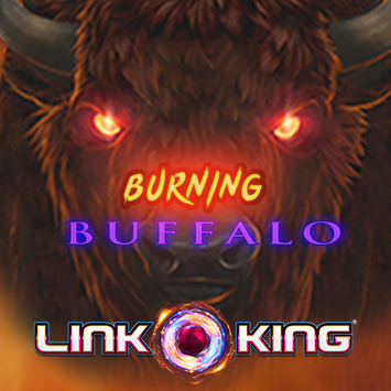 Link King Burning Buffalo